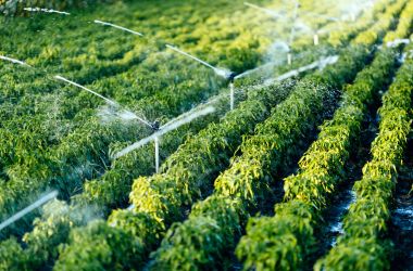 berti irrigazione sistemi idrici per agricoltura (1).jpg