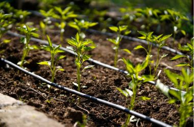 berti irrigazione sistemi idrici per agricoltura (2).jpg