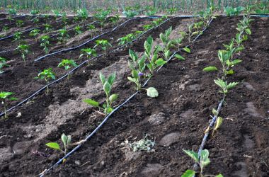 berti irrigazione sistemi idrici per agricoltura (4).jpg